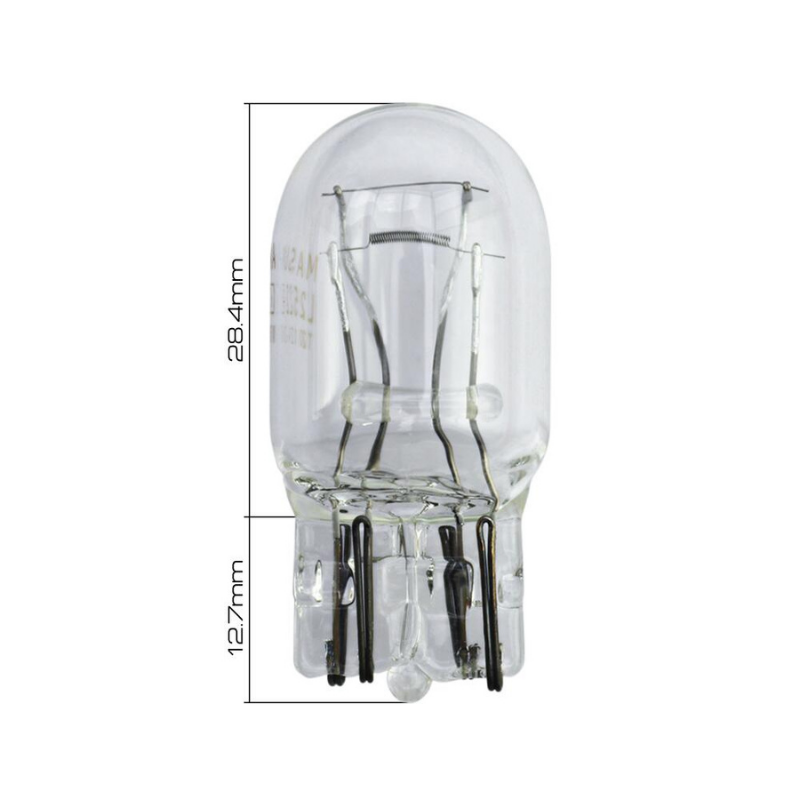 LAMP (L2522)