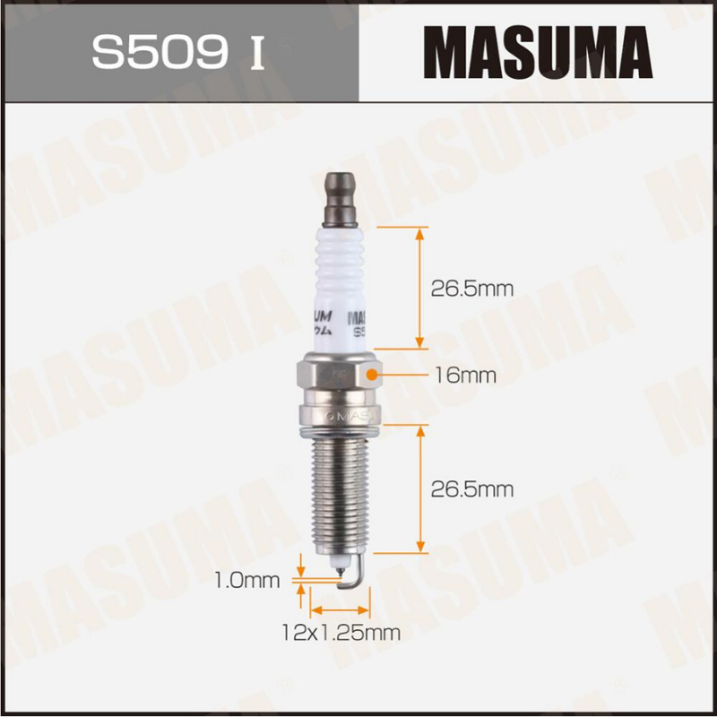 SPARK PLUGS (S509I)