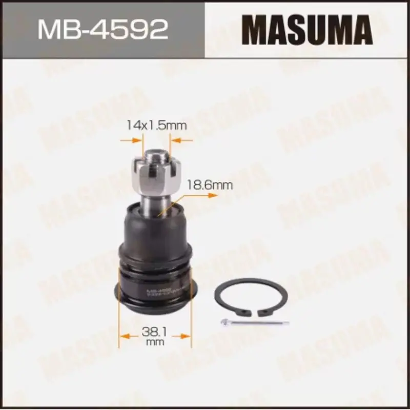 Ball Joint- Lower (MB-4592)