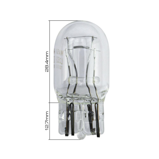[L2522] LAMP (L2522)